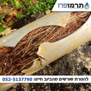 ניקוי שורשים בביוב