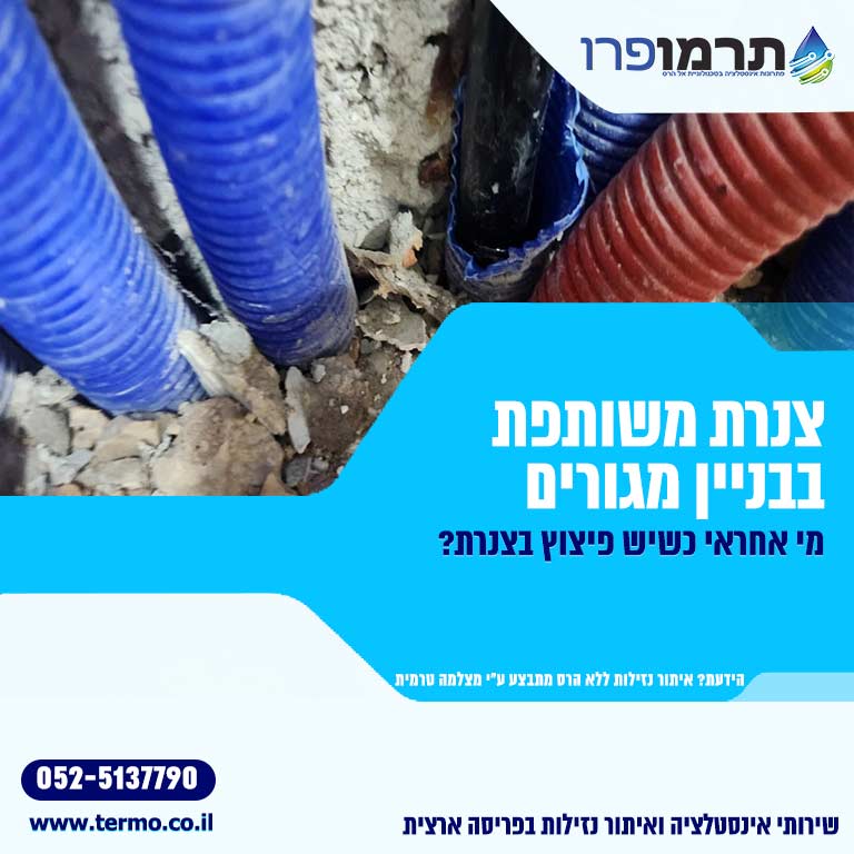 צנרת משותפת בבניין מגורים